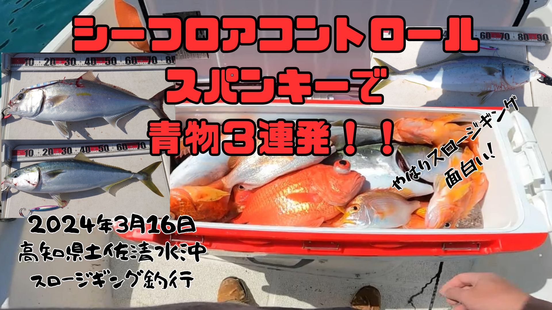 シーフロアコントロールスパンキーは青物に強い!他の魚も シーフロアコントロールスパンキーは青物に強い!他の魚も